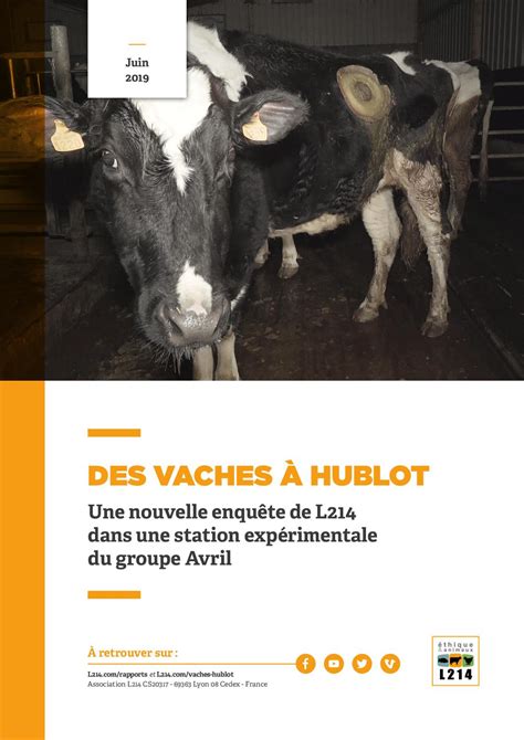 vaches a hublot|Hublot catalogue.